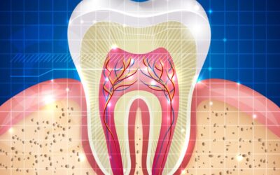 Esmalte, dentina e polpa: você conhece cada parte do seu dente?