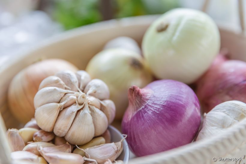 Alho e cebola causam mau hálito? Entenda esses alimentos