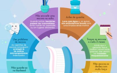 Qual é a forma certa de guardar e conservar as escovas de dentes?