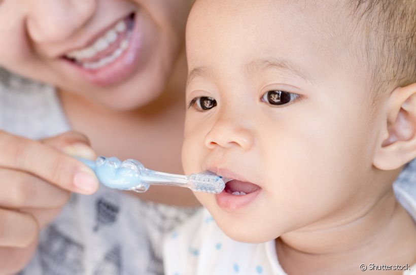 Como escovar a gengiva do bebê? Que tipo de escova usar para essa higiene?