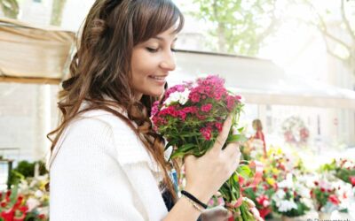 Flores e plantas proporcionam mais harmonia na sua casa e na sua vida