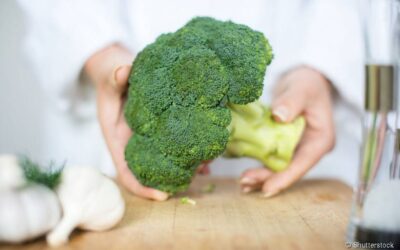 Presente no brócolis, vitamina K reforça cicatrização e ossos