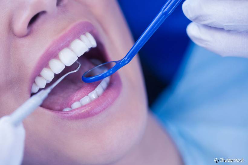 Conhecimento nunca é demais: dentistas que vão ao congresso anualmente atualizar suas práticas em Odontologia